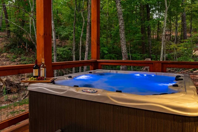 Wander Sevierville Ridge #96