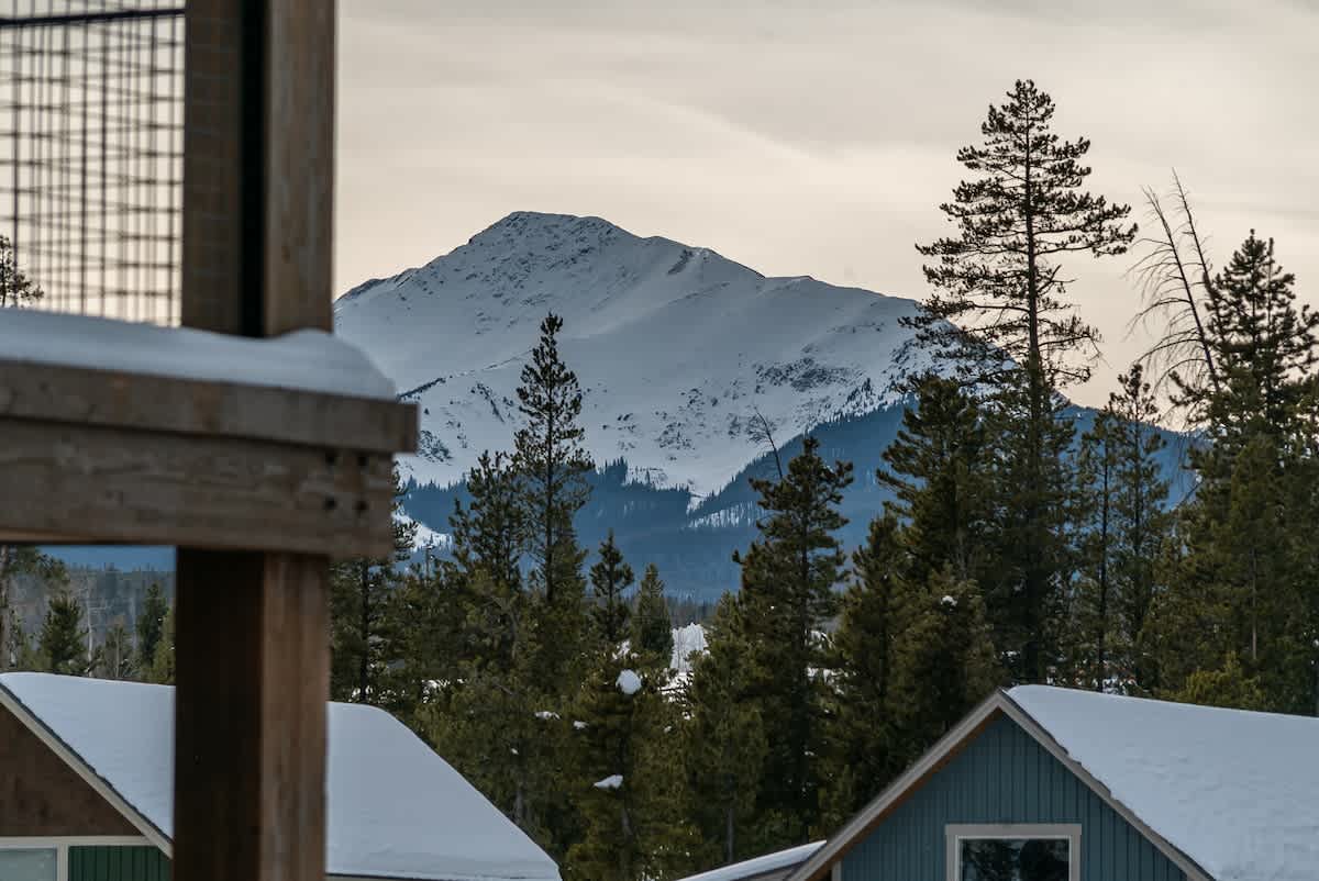 Wander Fraser Meadow #51