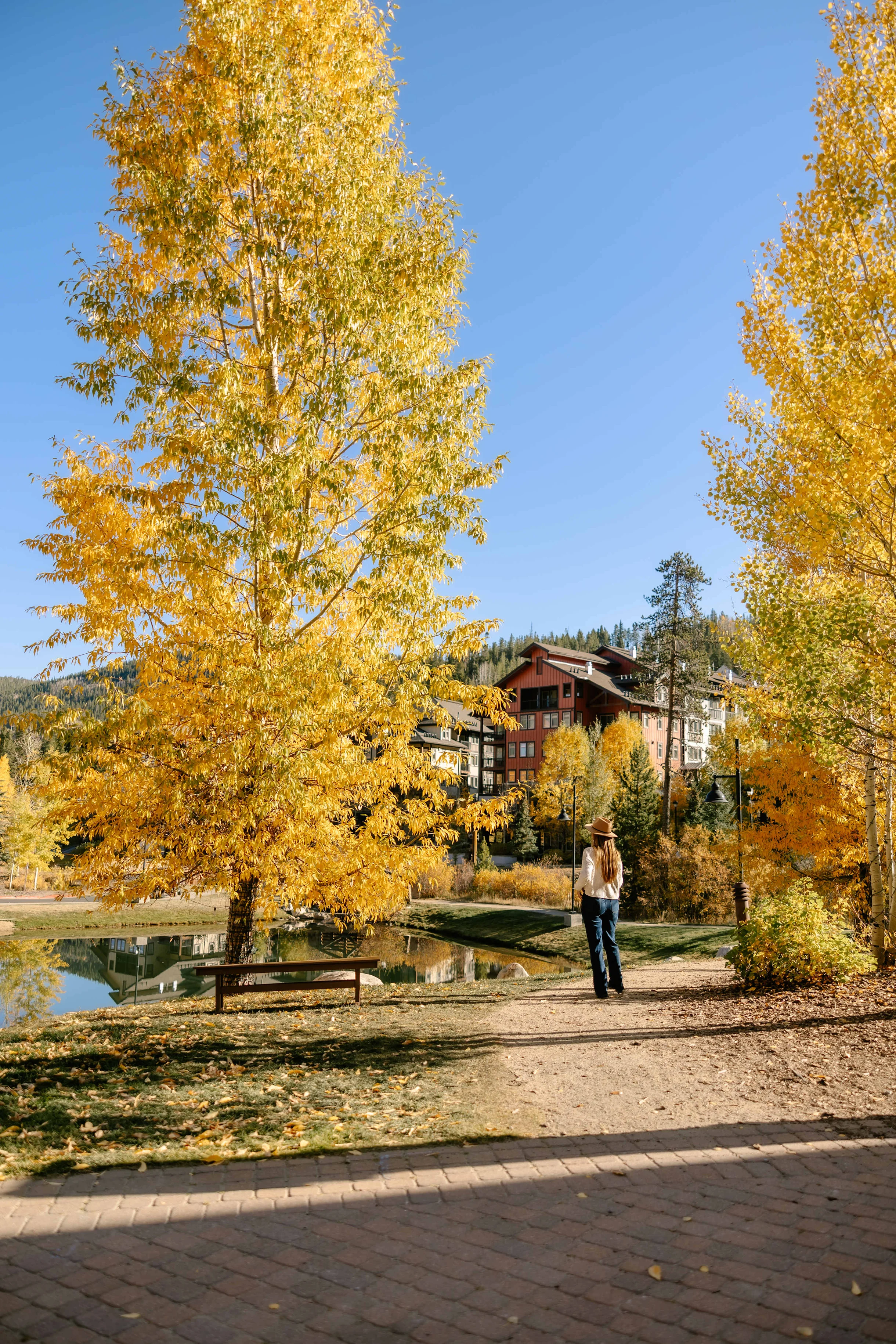 Wander Winter Park Allure #132