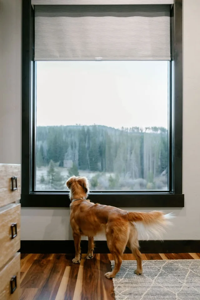 Wander Winter Park Sky #154