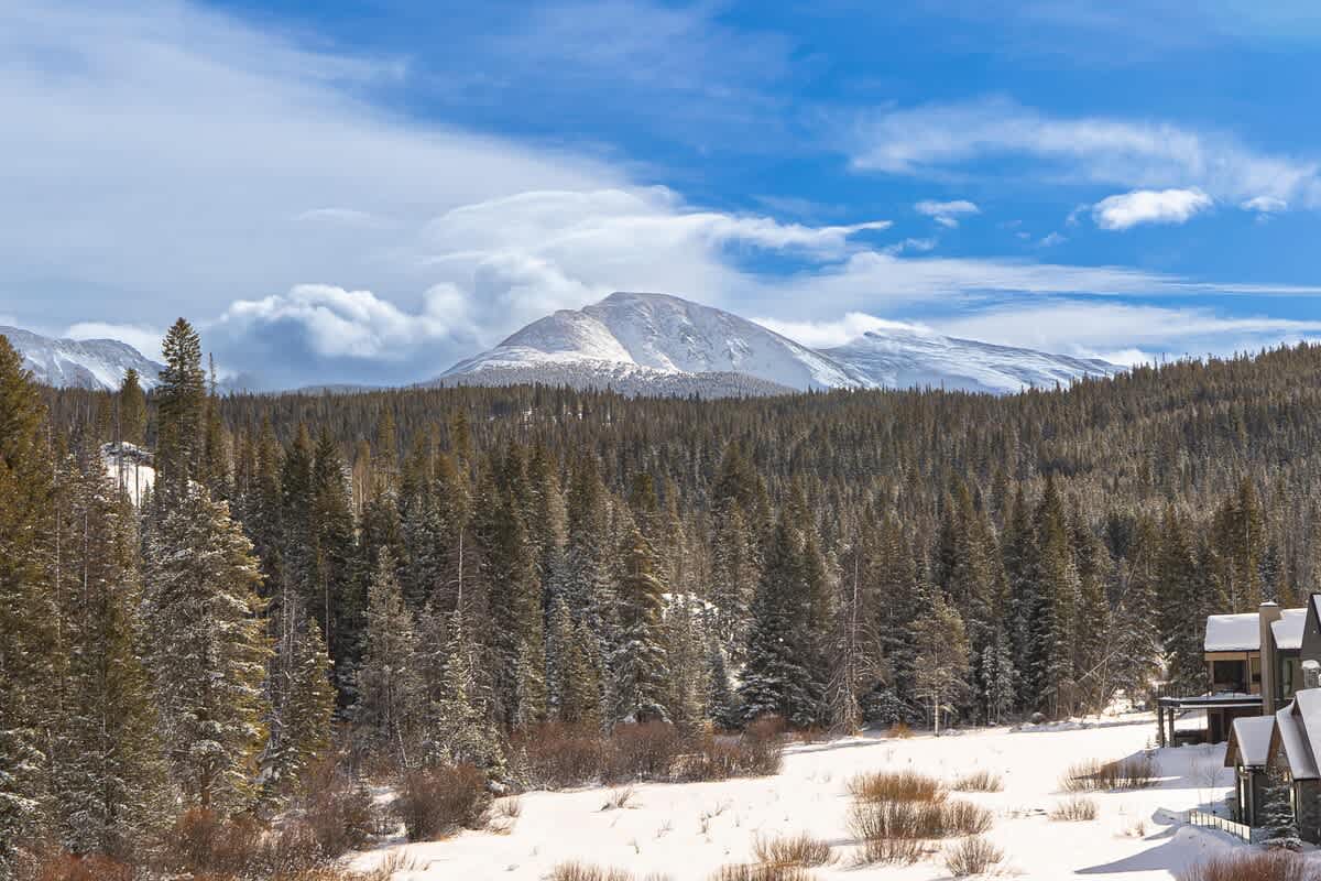 Wander Winter Park Sky #170