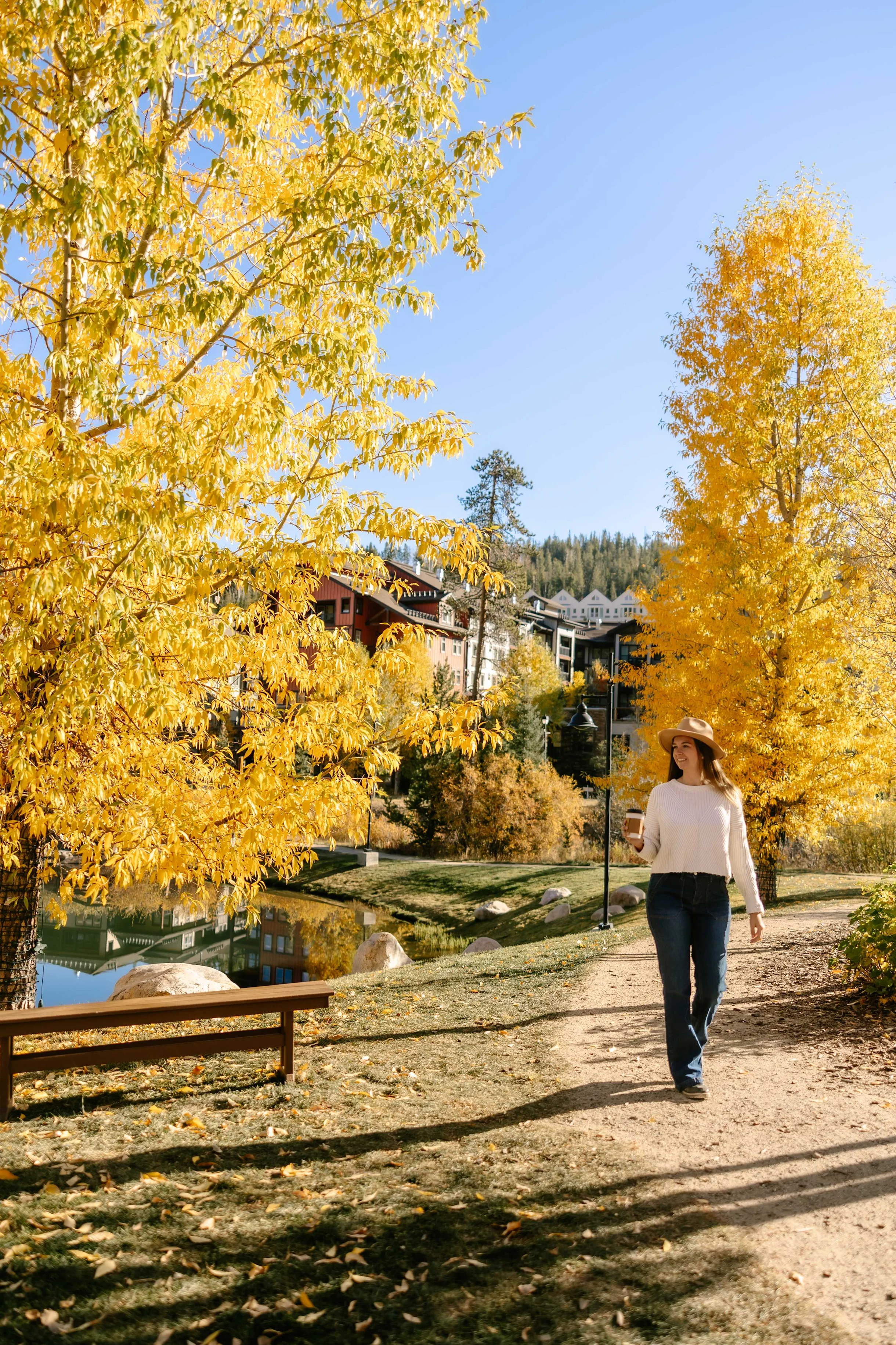 Wander Winter Park Evergreen #124