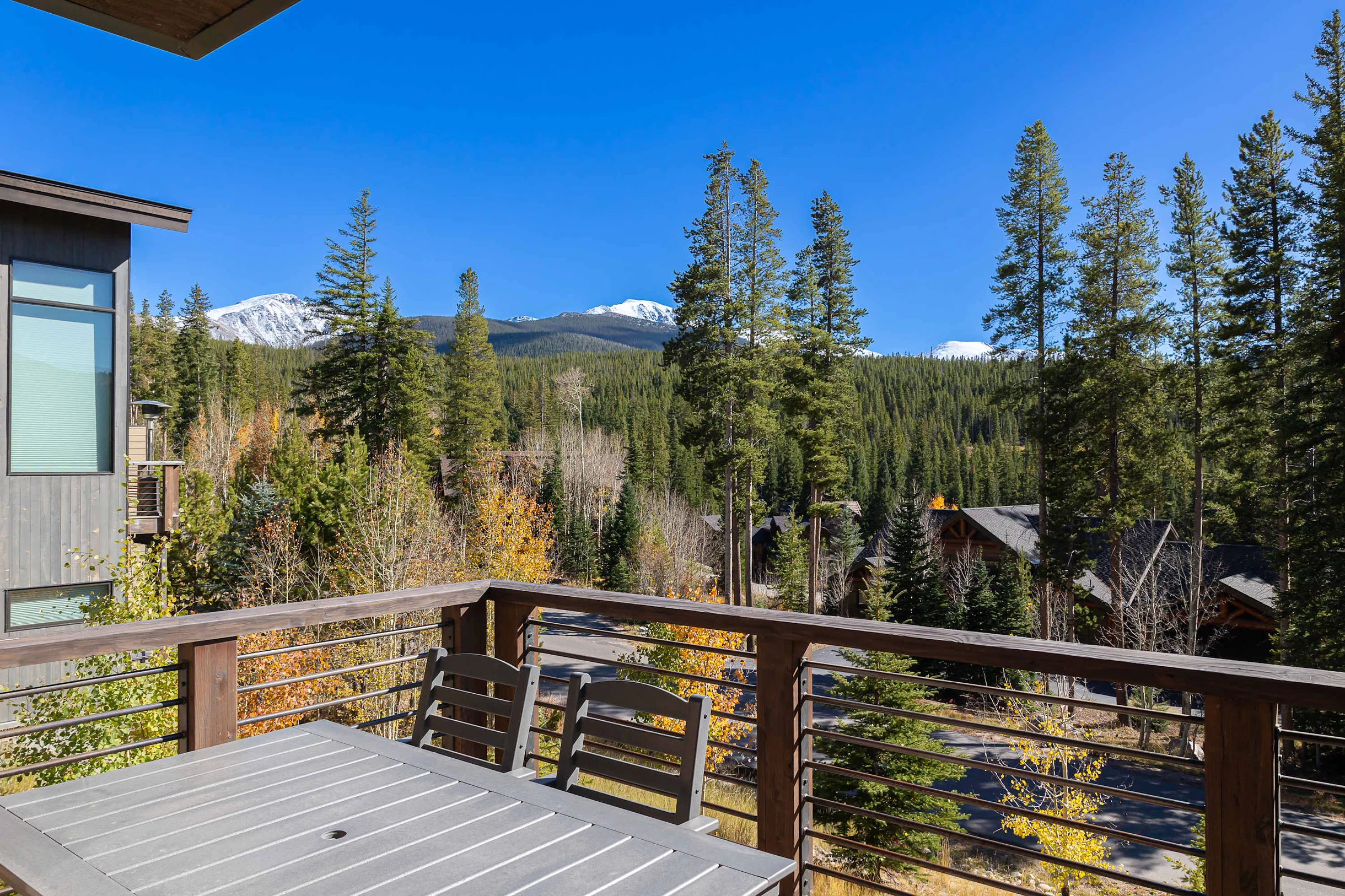 Wander Winter Park Evergreen #134