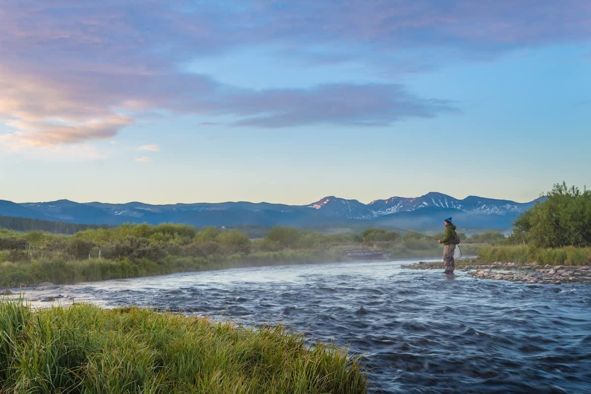 Wander Winter Park Pines #80