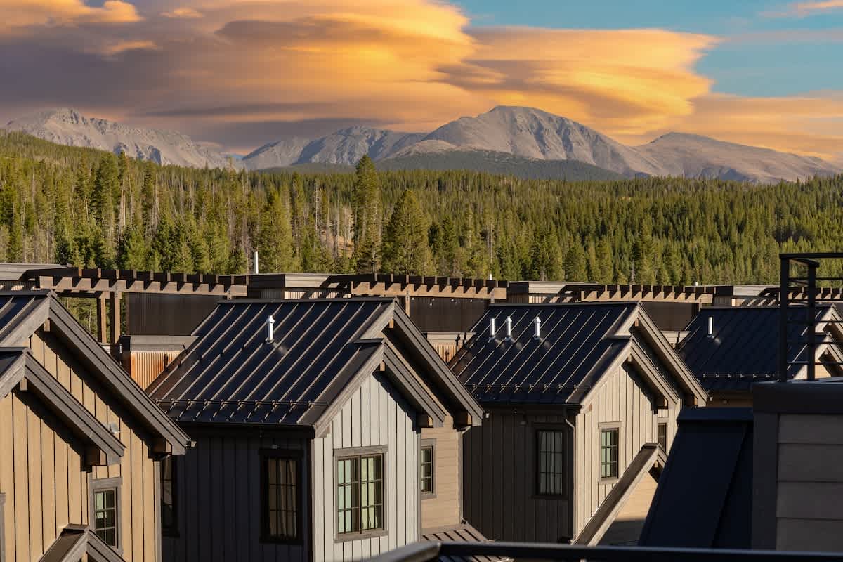 Wander Winter Park Pines #119