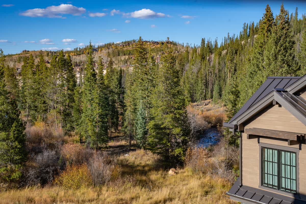 Wander Winter Park Pines #109