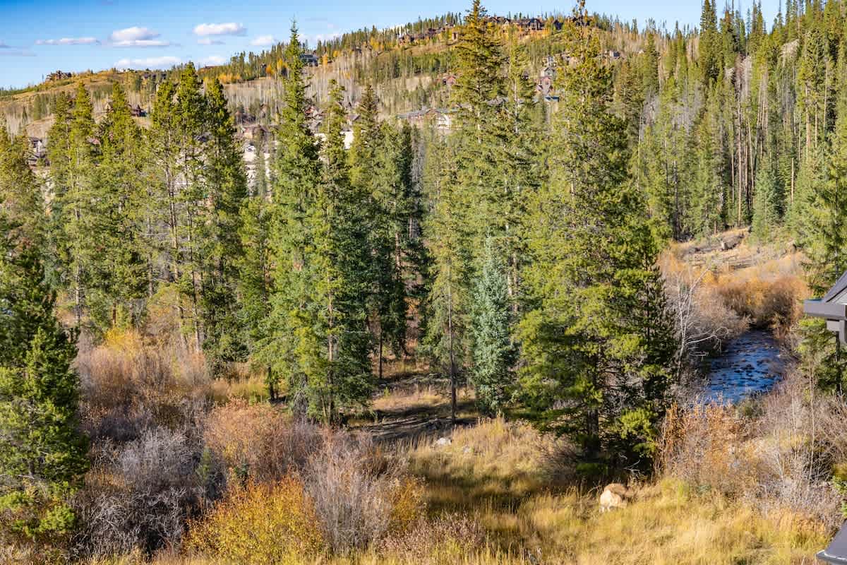 Wander Winter Park Pines #103