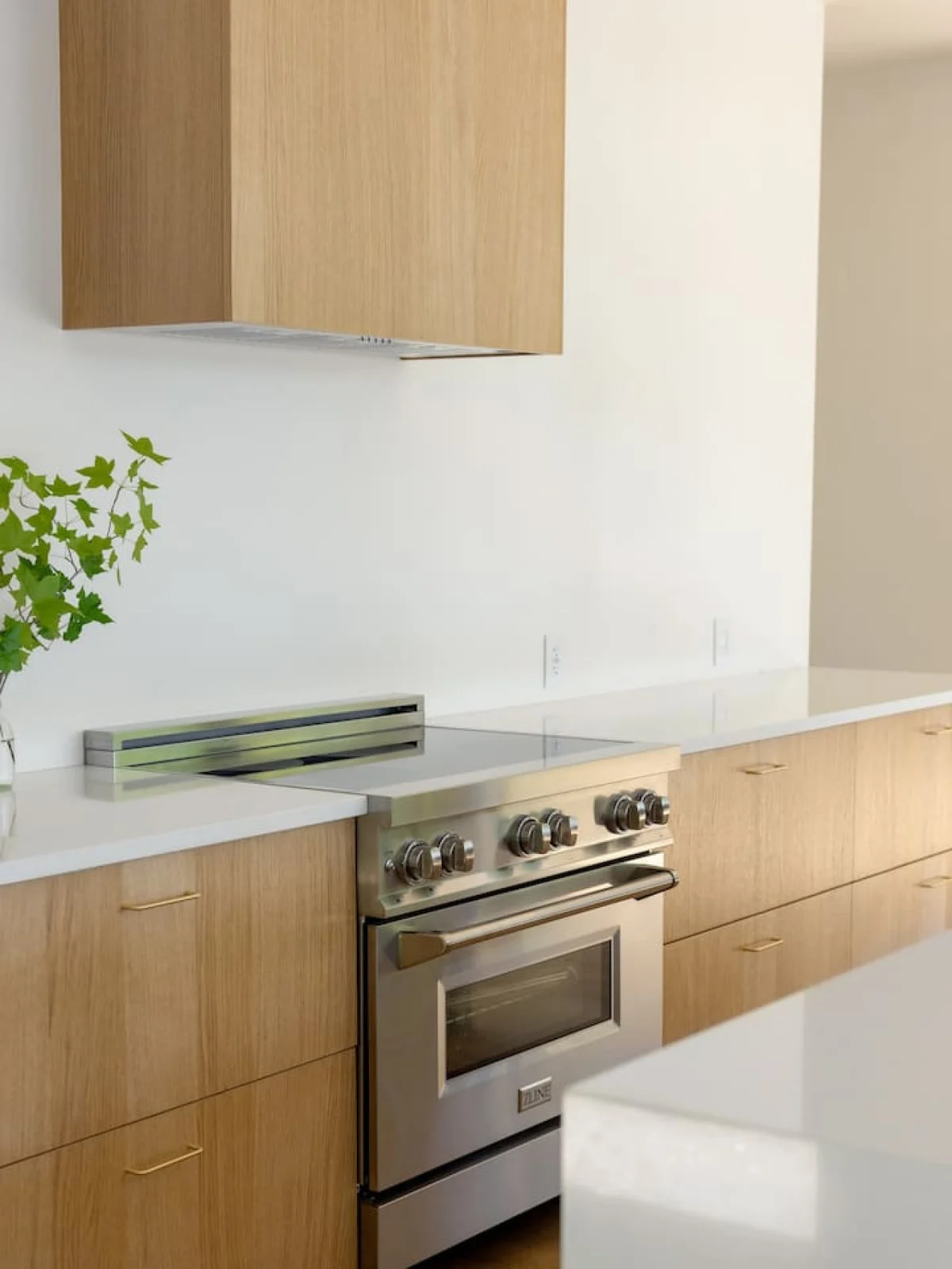 Designer's Glass Waterfront Lakehouse #74