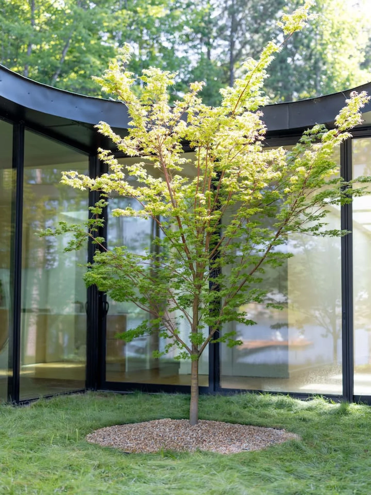 Designer's Glass Waterfront Lakehouse #79