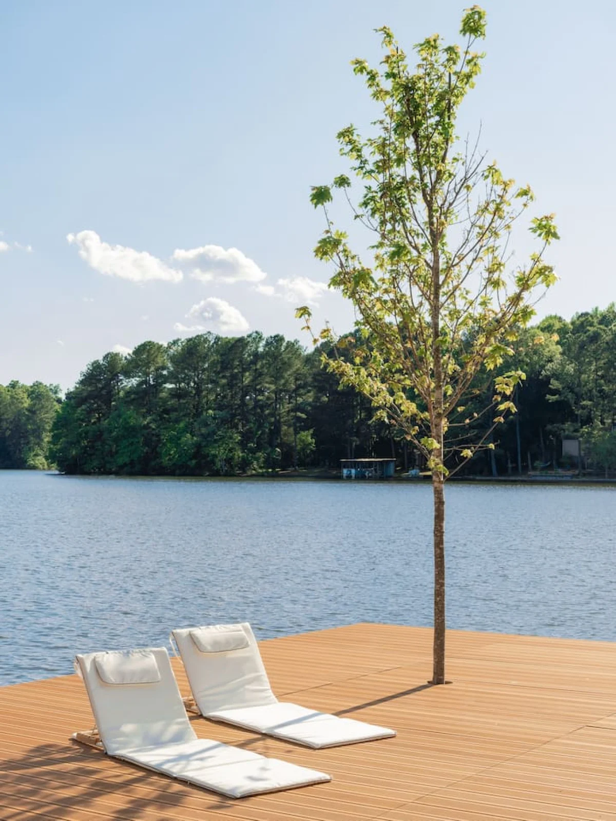 Designer's Glass Waterfront Lakehouse #83