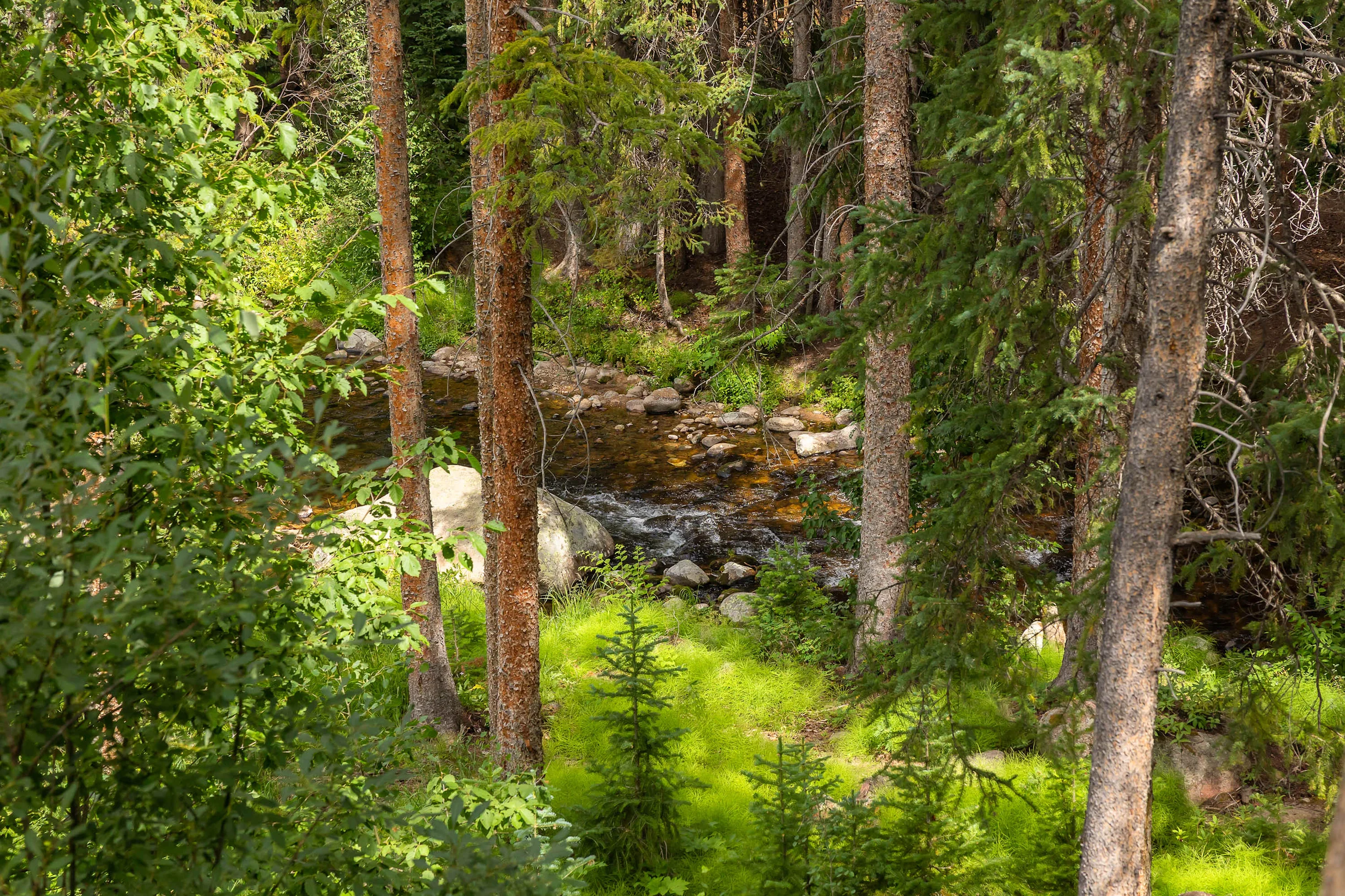 Wander Winter Park Riverfront #107