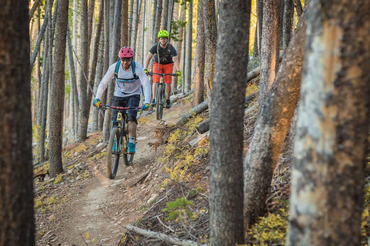 Wander Winter Park Alpine #128