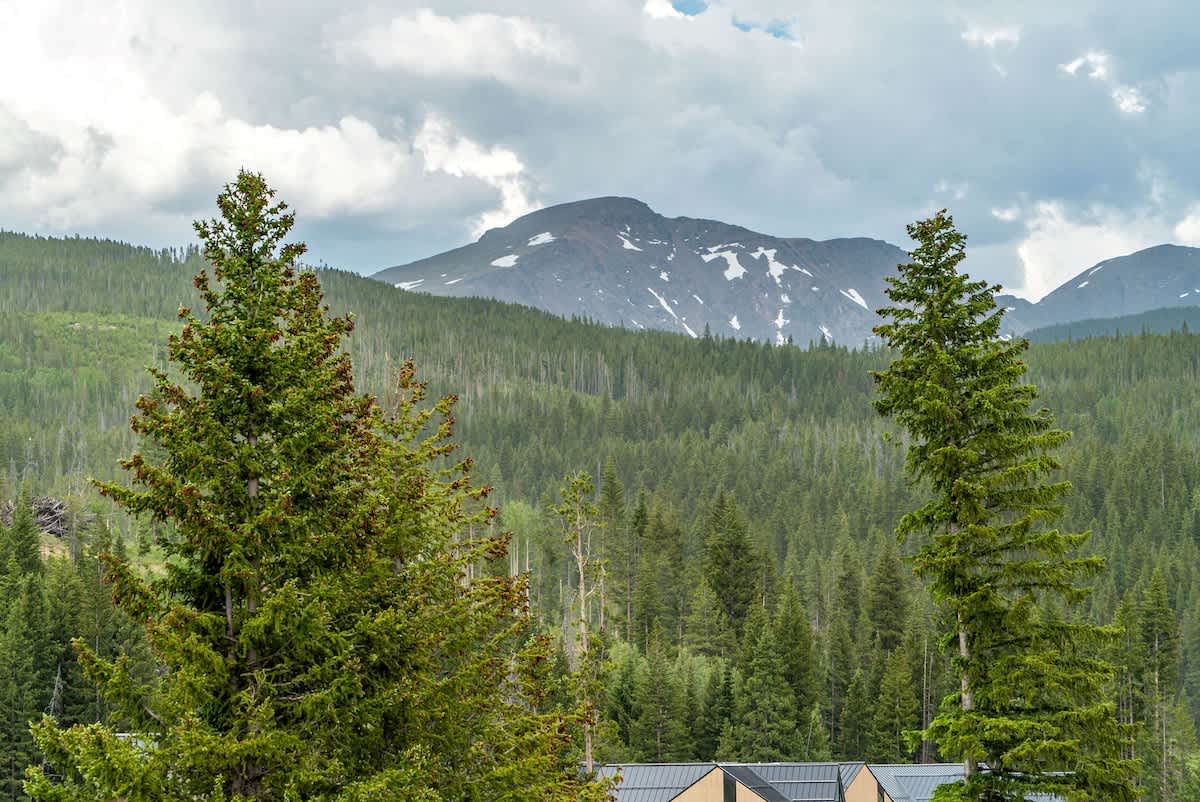 Wander Winter Park Alpine #99