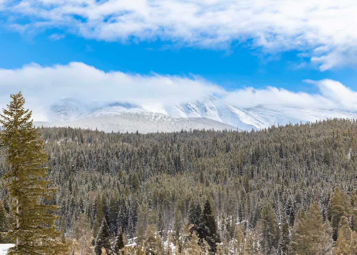 Wander Winter Park Alpine #68