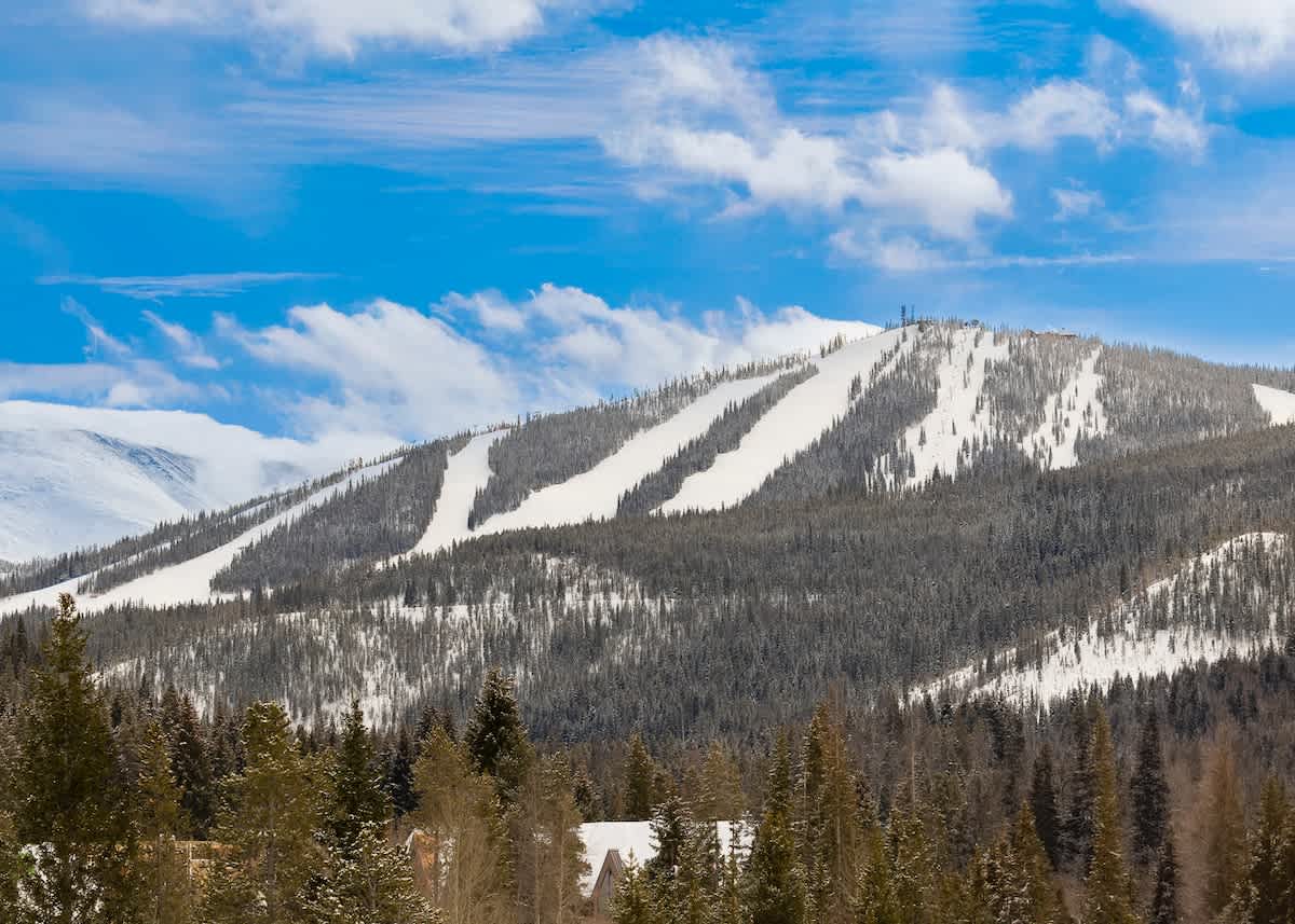 Wander Winter Park Alpine #110