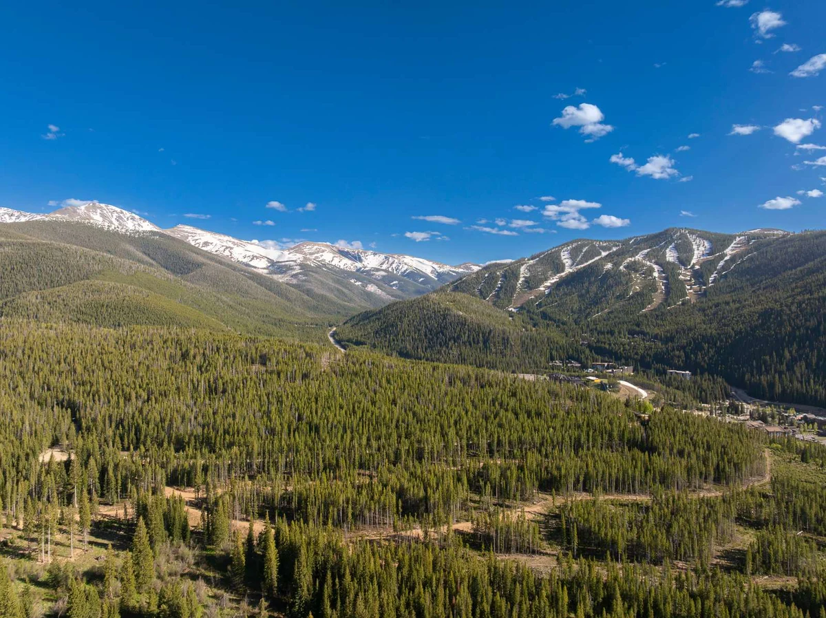 Wander Winter Park Pinnacle #178