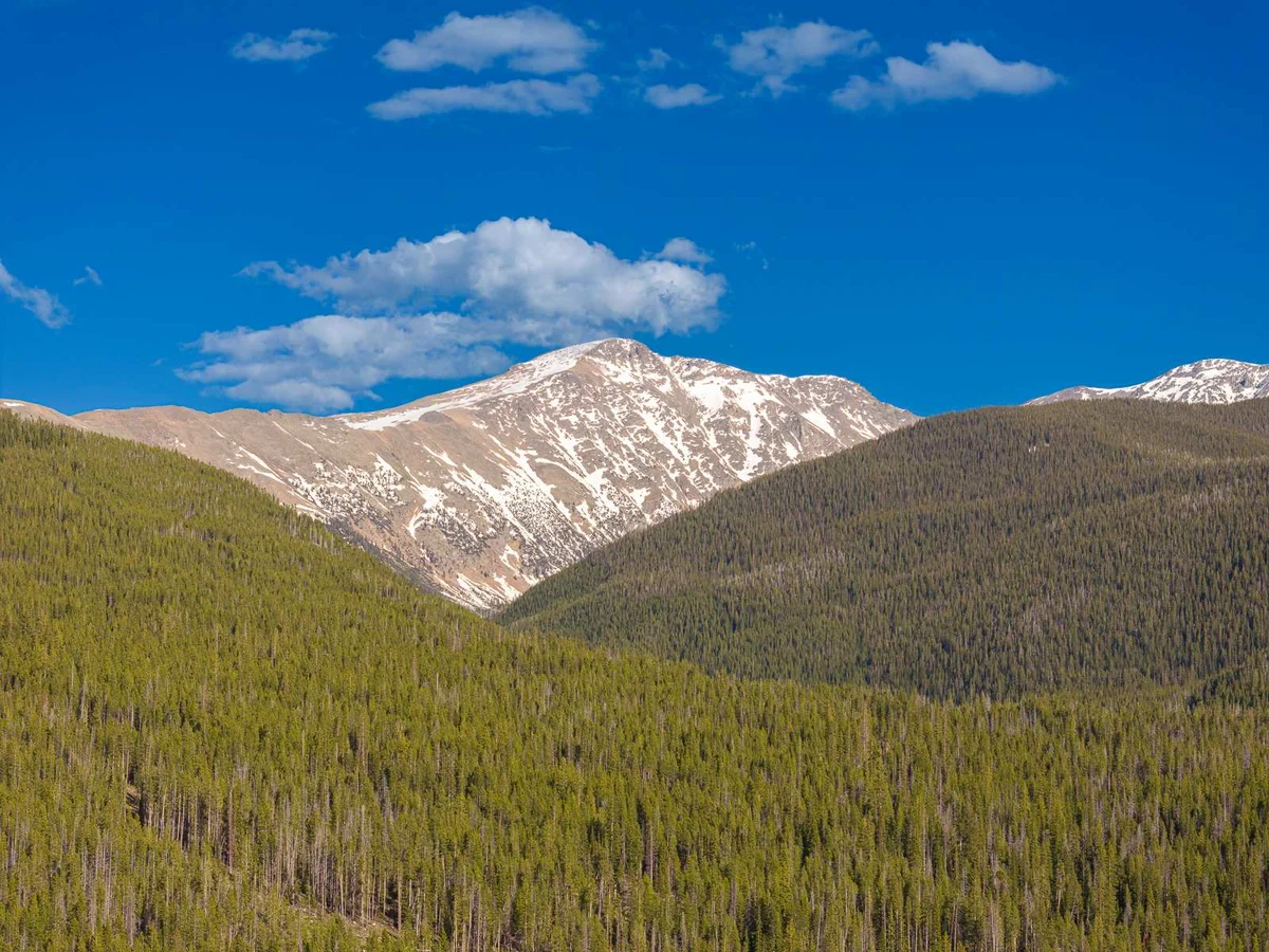 Wander Winter Park Pinnacle #126