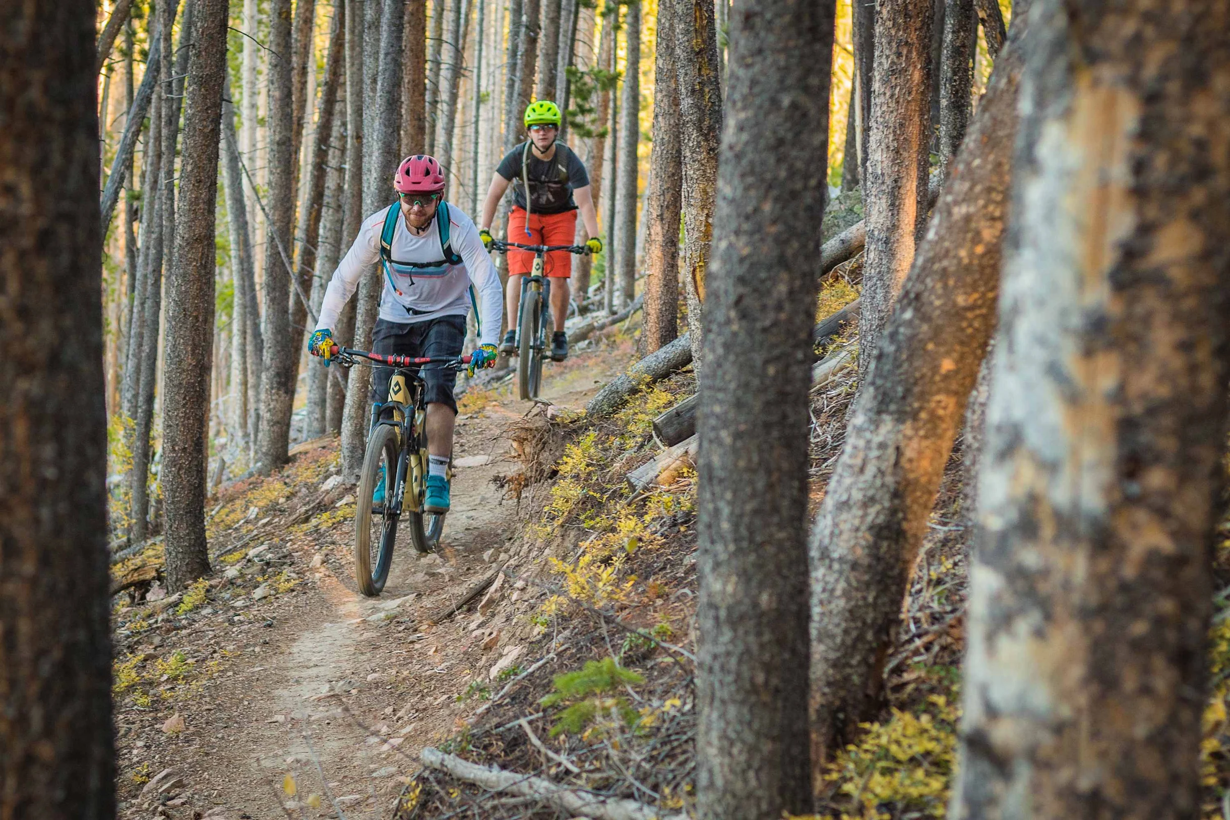 Wander Winter Park Pinnacle #202
