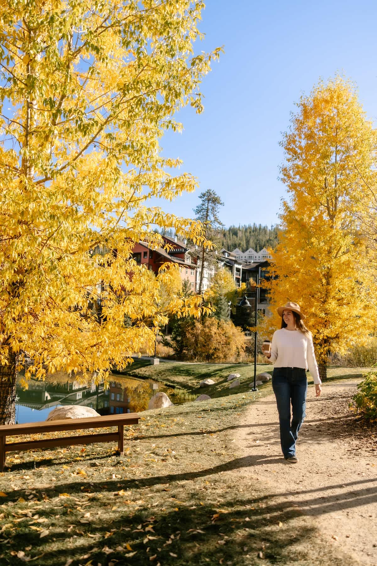 Wander Winter Park Majesty #147