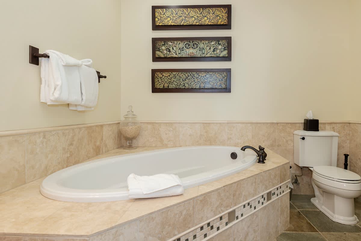 Wander Winter Park Majesty #208