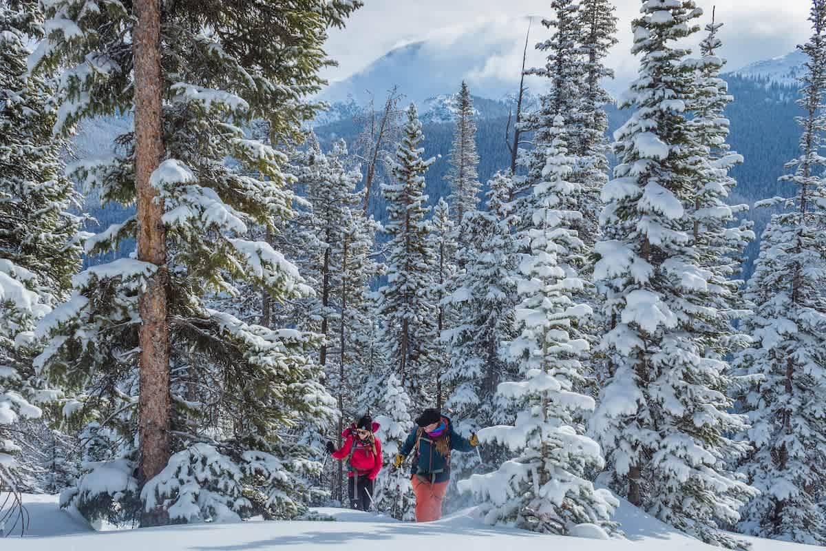 Wander Winter Park Majesty #211