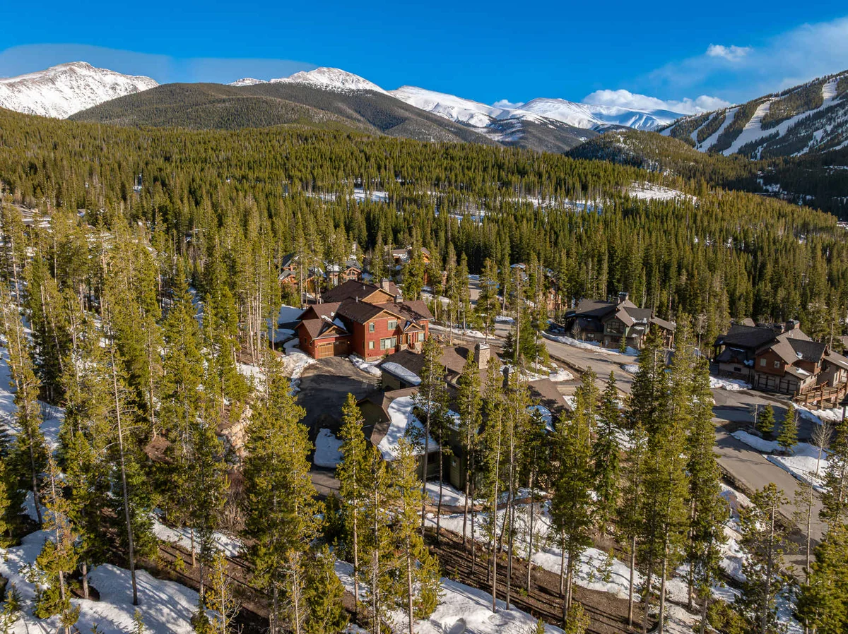 Wander Winter Park Majesty #212