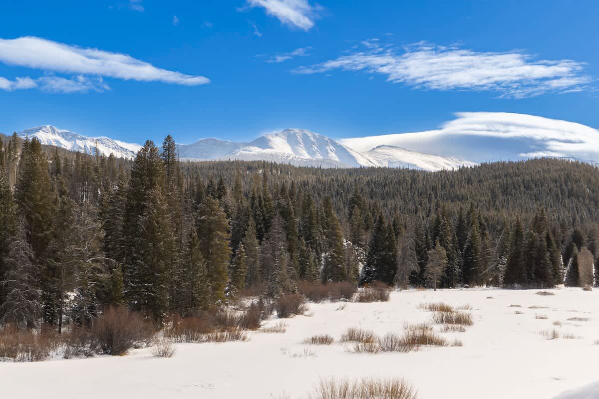 Wander Winter Park Ridge #141