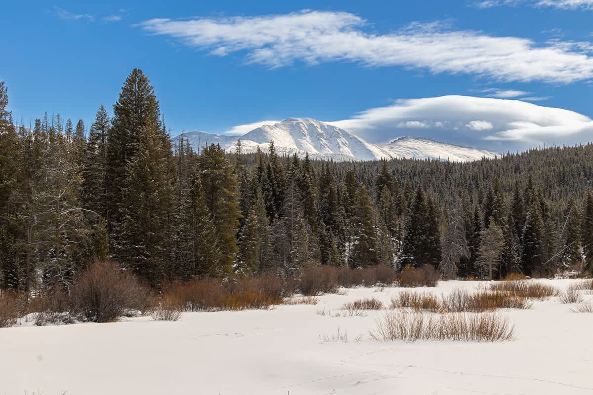 Wander Winter Park Ridge #109