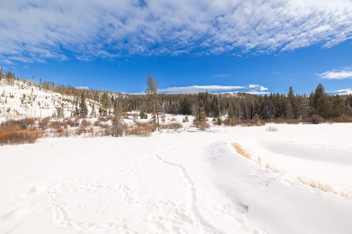 Wander Winter Park Ridge #116