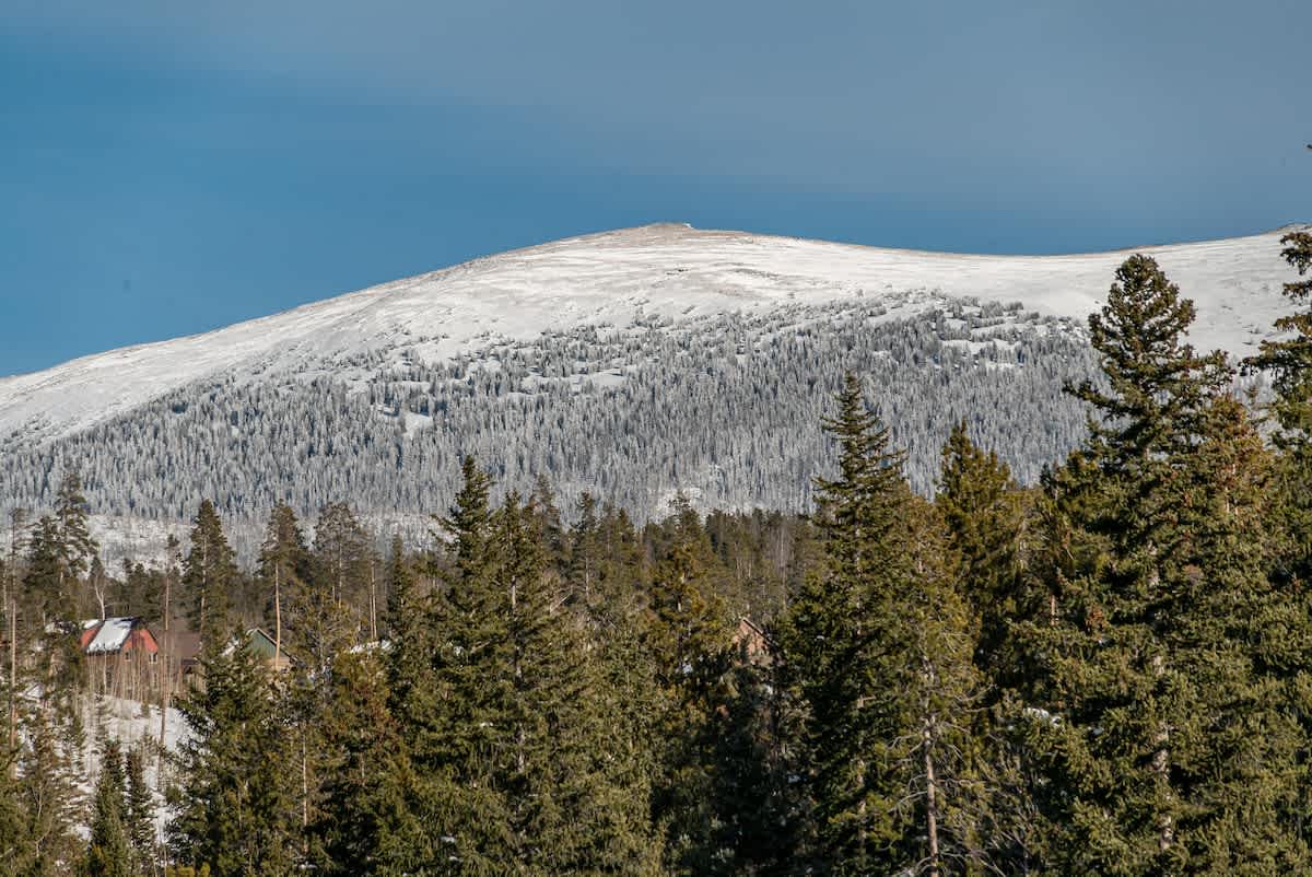 Wander Winter Park Hideaway #61