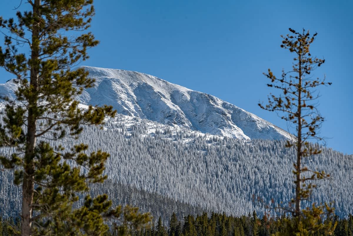 Wander Winter Park Manor #200