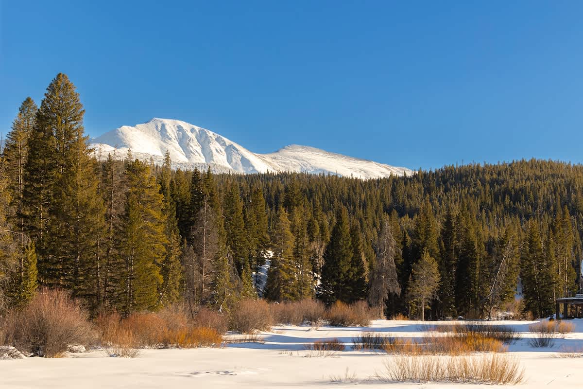 Wander Winter Park Glacier #140