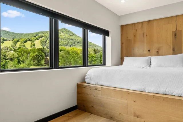 Wander Hunter Mountain Vista #52