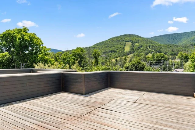 Wander Hunter Mountain Vista #50