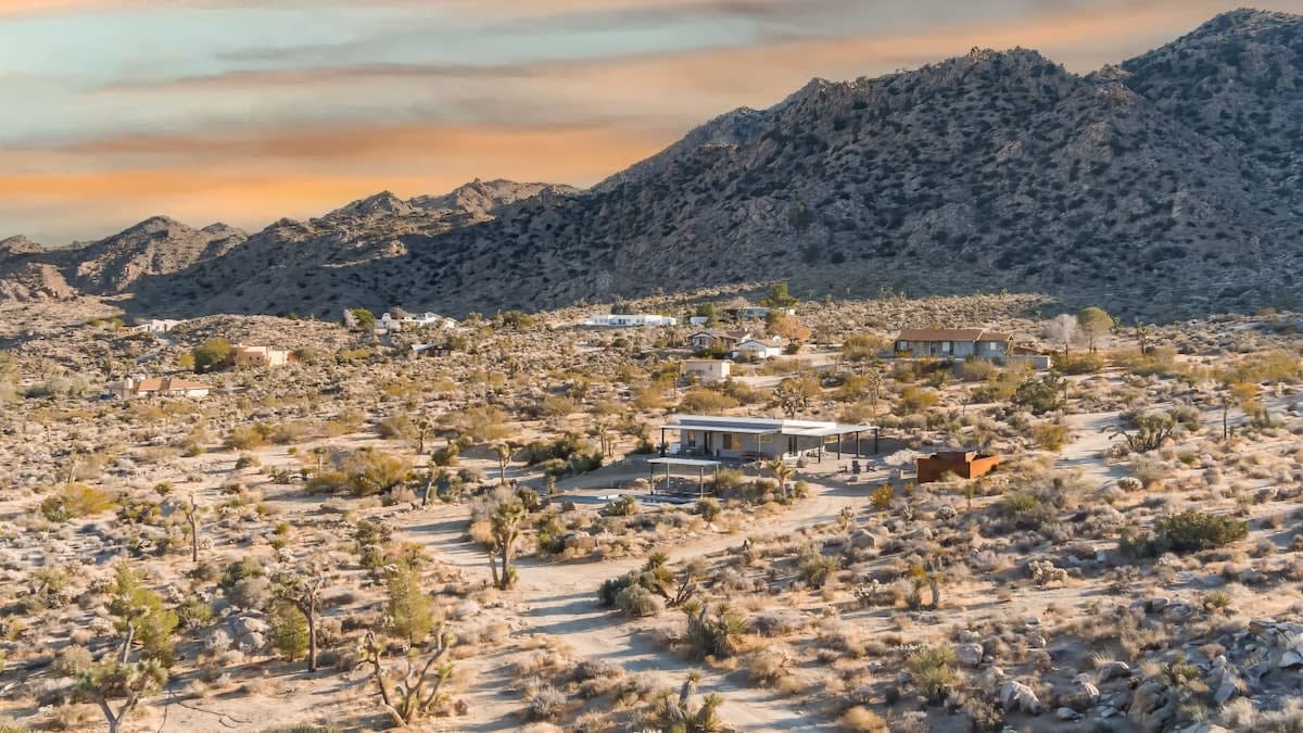 Wander Joshua Tree Sunset #78