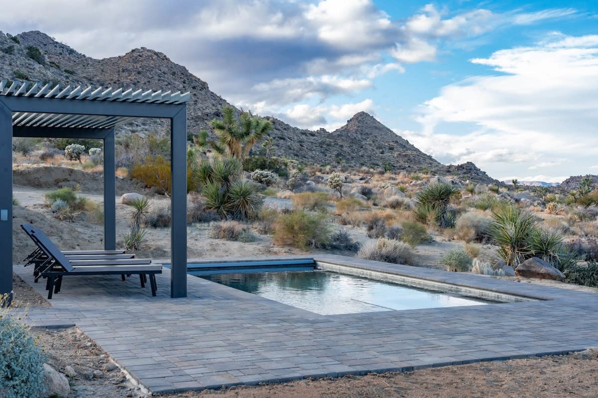 Wander Joshua Tree Sunset #71