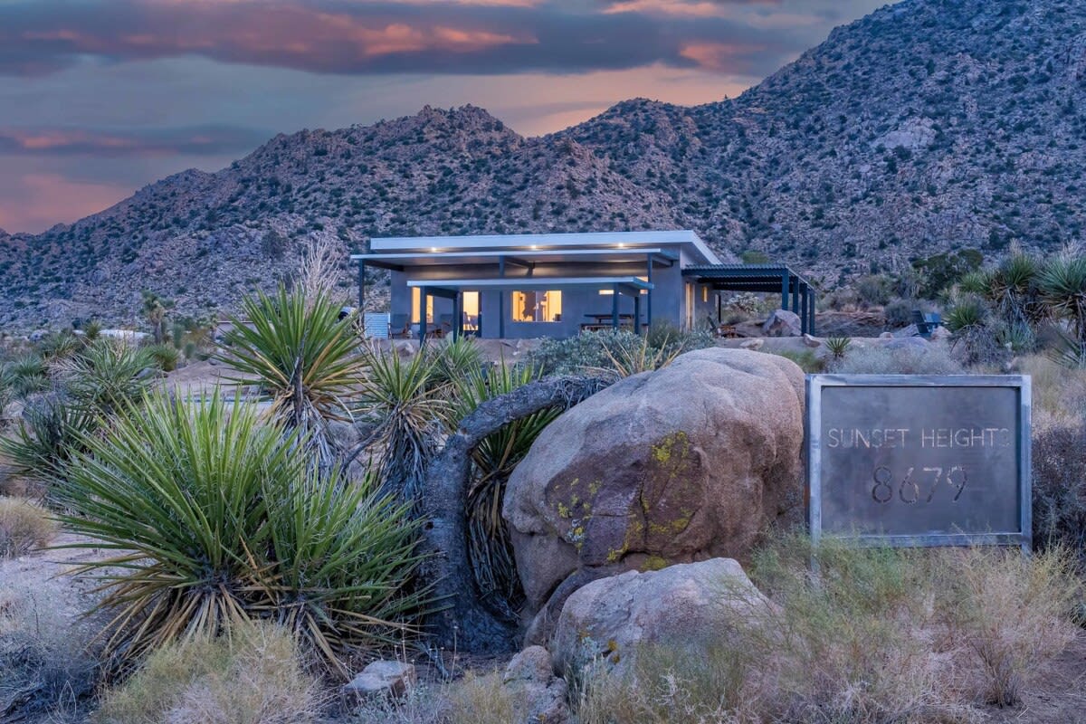 Wander Joshua Tree Sunset #64