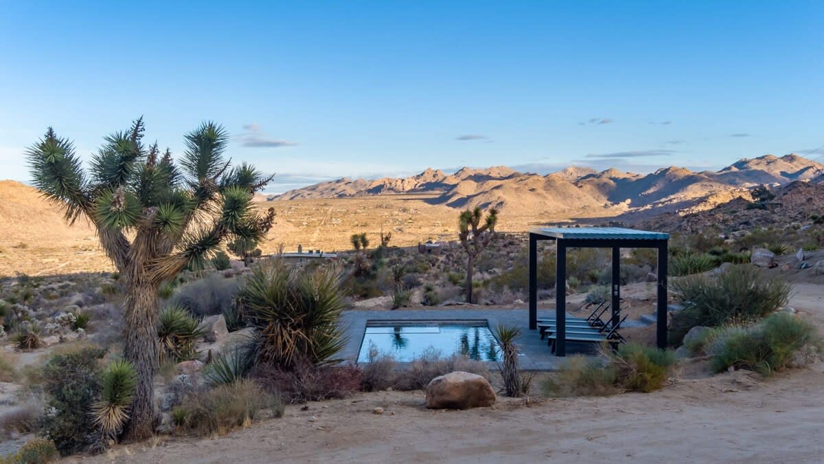 Wander Joshua Tree Sunset #79