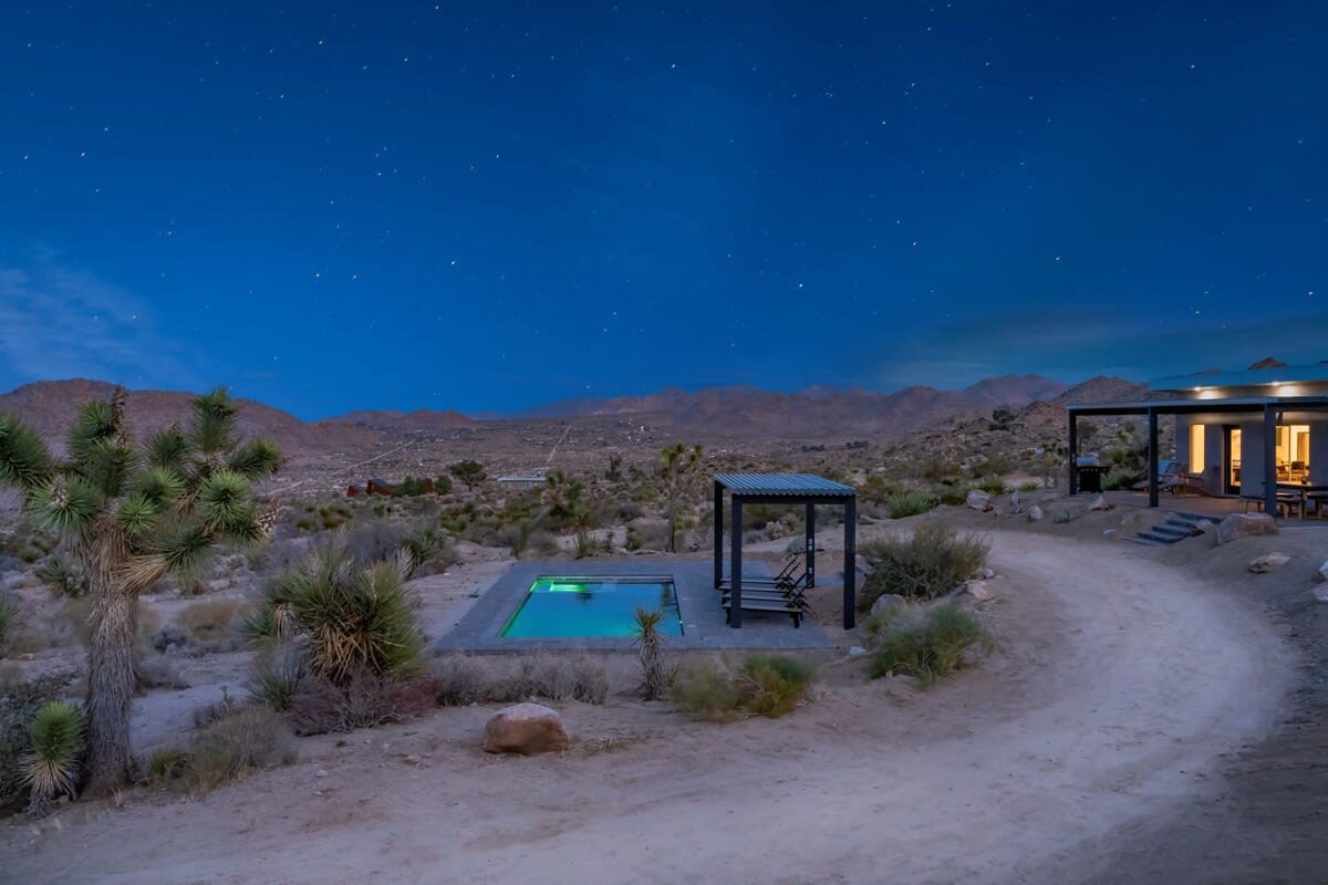 Wander Joshua Tree Sunset #80