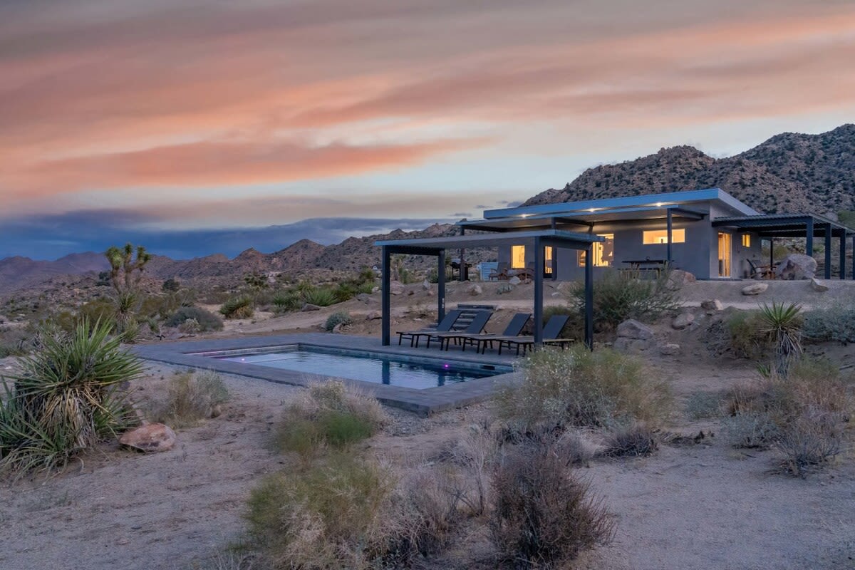 Wander Joshua Tree Sunset #70
