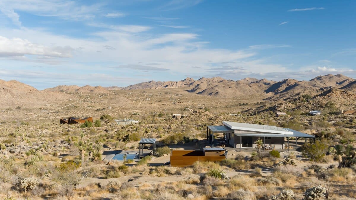 Wander Joshua Tree Sunset #50