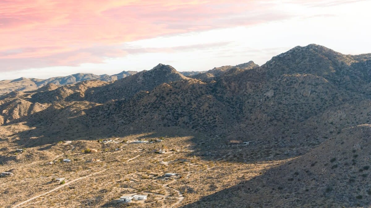 Wander Joshua Tree Sunset #59