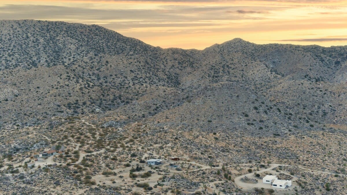 Wander Joshua Tree Sunset #66