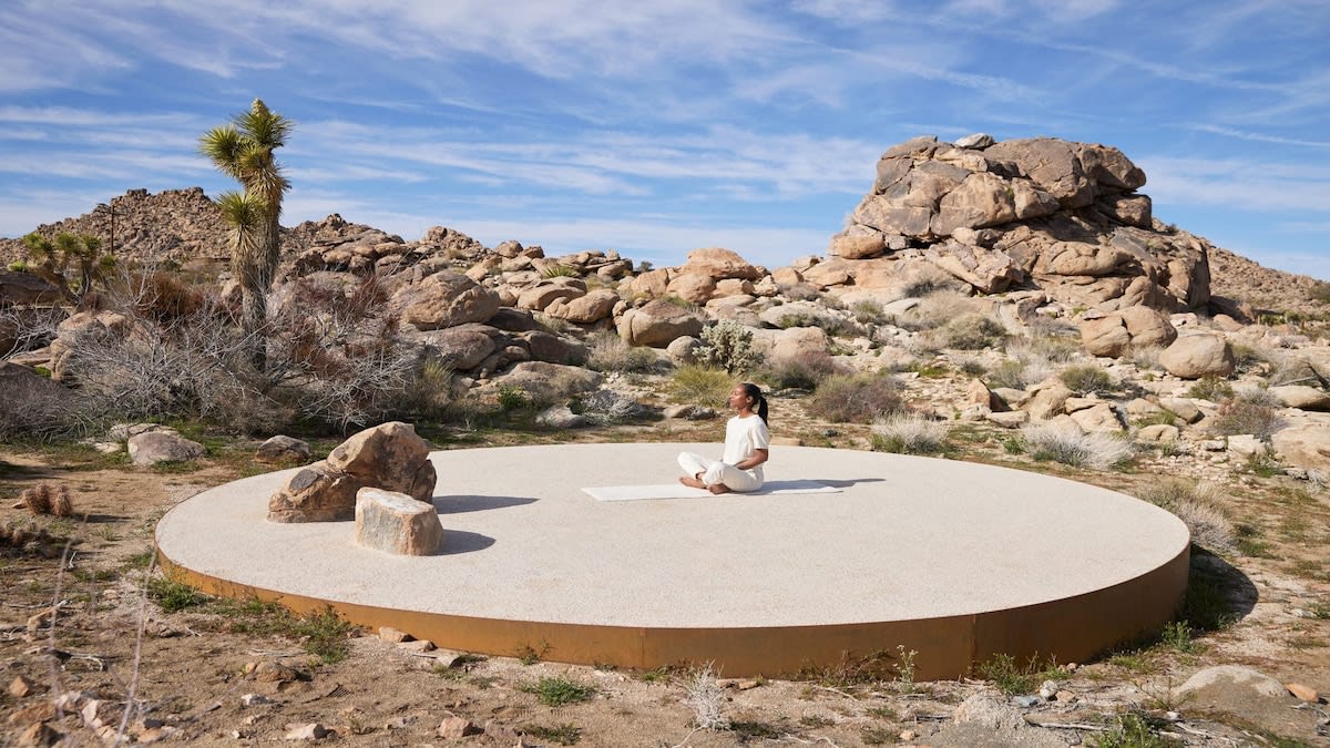 Wander Joshua Tree Manor #58