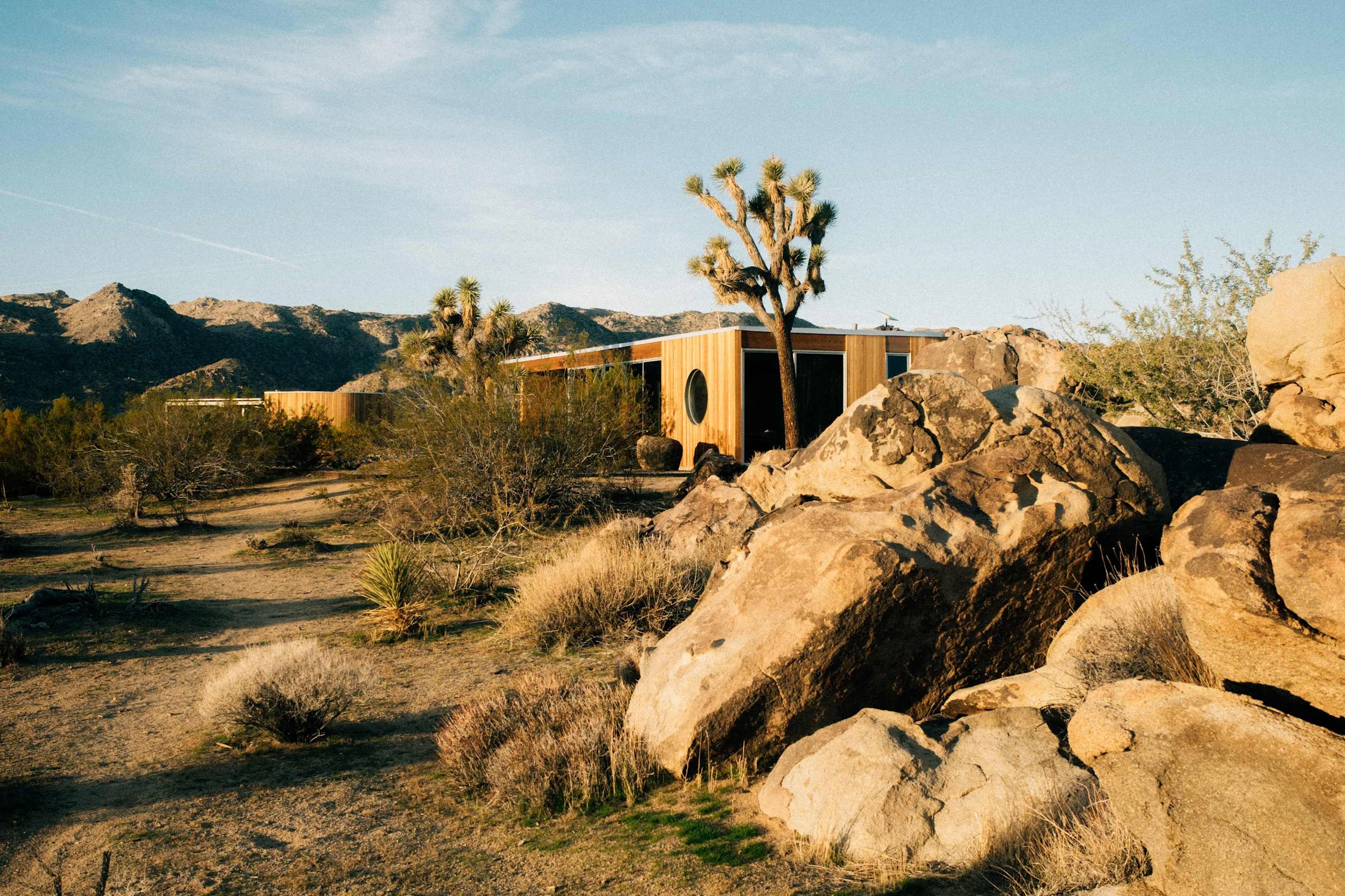 Wander Joshua Tree Manor #59