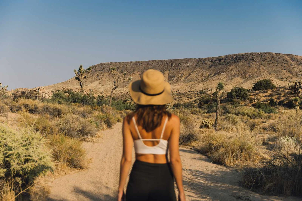 Wander Pioneertown Boulders #108