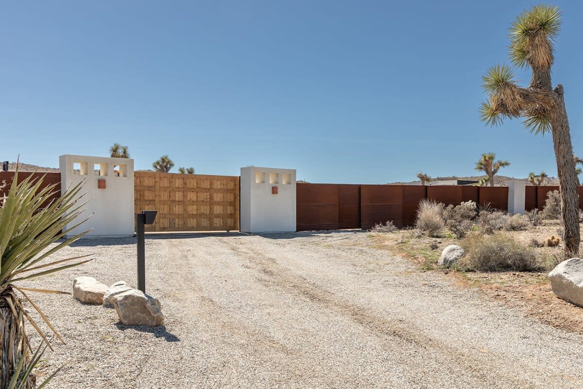 Wander Joshua Tree Mirage #62