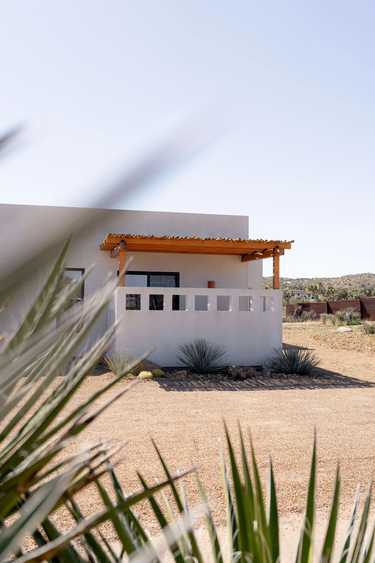 Wander Joshua Tree Mirage #67