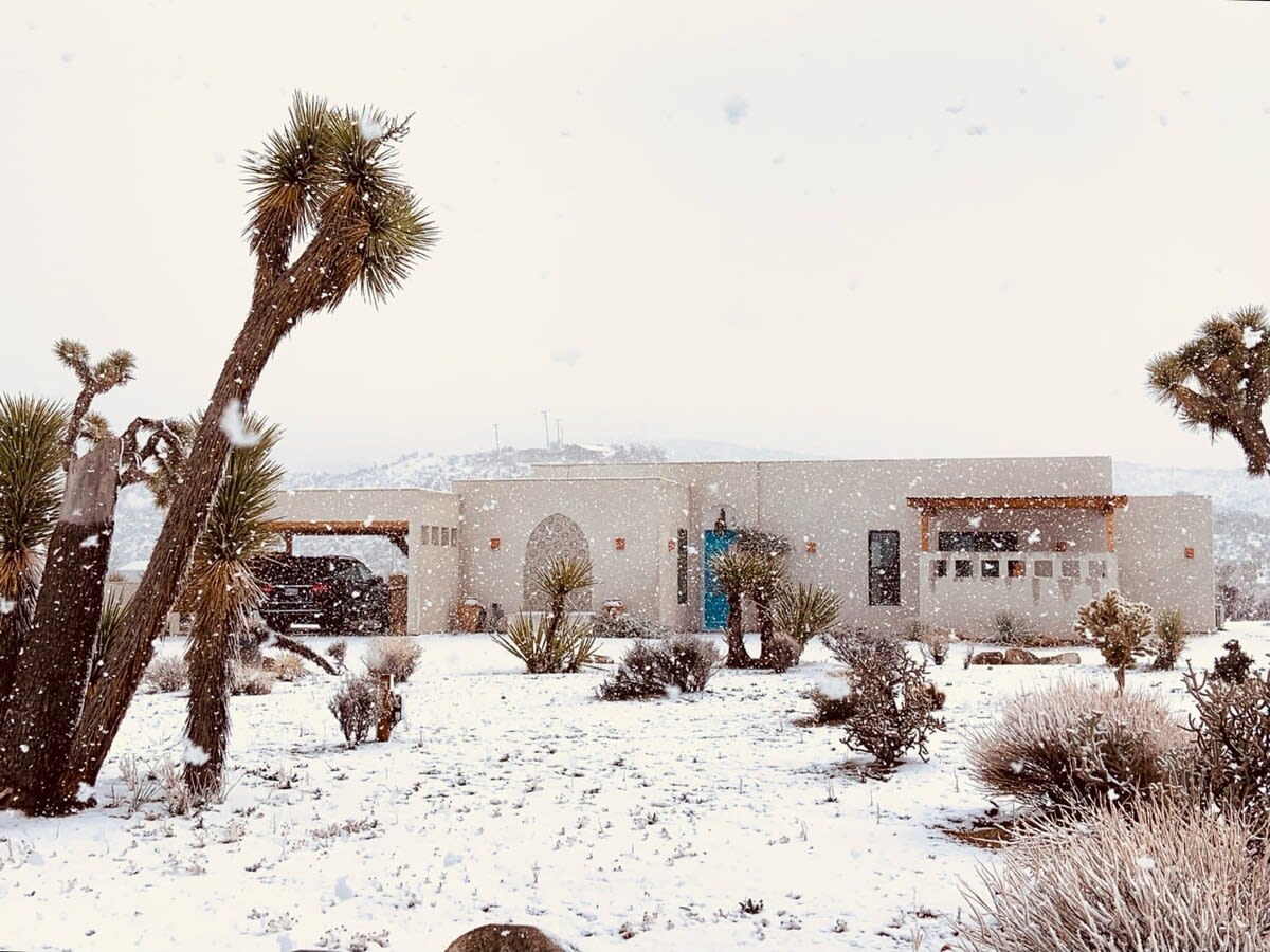 Wander Joshua Tree Mirage #90