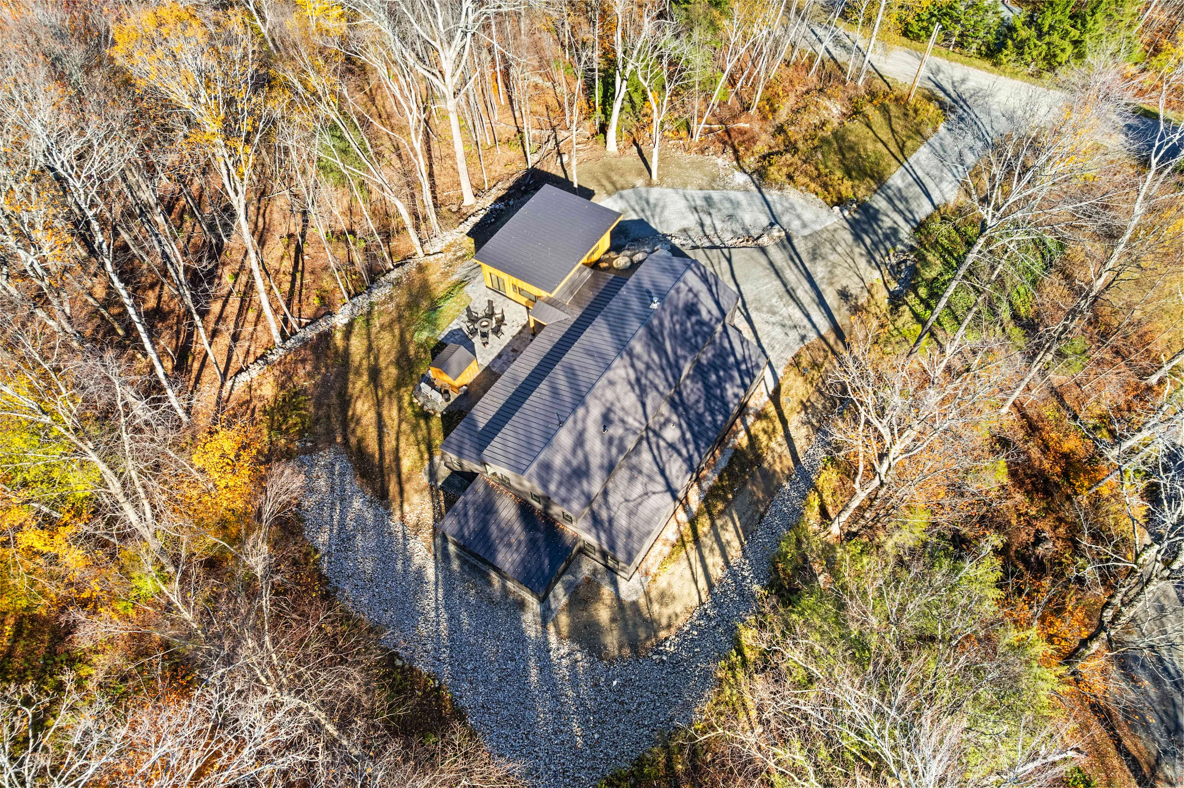 Wander Winhall Pines #56